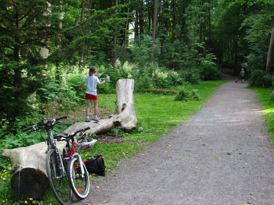 En av de sju grønne sykkelrutene i Oslo går langs Frognerbekken. Lommeguide til alle de sju rutene kan lastes rett ned på mobilen fra egne sider laget av Syklistenes landsforening. Foto: Øyvind Wold / Syklistenes Landsforening En av de sju grønne sykkelrutene i Oslo går langs Frognerbekken. Lommeguide til alle de sju rutene kan lastes rett ned på mobilen fra egne sider laget av Syklistenes landsforening. Foto: Øyvind Wold / Syklistenes Landsforening