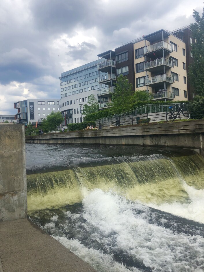 Før flomregnet i går gikk strømmen kraftig i Akerselva. Kan kommunen ha sluppet ut ekstra mye vann fra magasinet i påvente av regnet? Foto: Kaja Sandsdalen Før flomregnet i går gikk strømmen kraftig i Akerselva. Kan kommunen ha sluppet ut ekstra mye vann fra magasinet i påvente av regnet? Foto: Kaja Sandsdalen