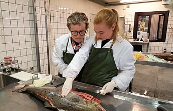Mystisk sykdom truer laksen i Akerselva. Veterinærer frykter epidemi rammer elver i Oslo