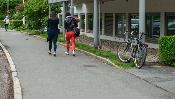 Exit Stendi. Firmaet driver fremdeles både Lambertseterhjemmet og Kantarellen bo- og rehabiliteringssenter i Oslo. Foto: Thor Langfeldt Exit Stendi. Firmaet driver fremdeles både Lambertseterhjemmet og Kantarellen bo- og rehabiliteringssenter i Oslo. Foto: Thor Langfeldt