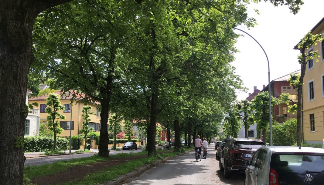 En sykkelvei vil rasere Gyldenløves gate, mener skribenten. Nå er det nok! sier han. En sykkelvei vil rasere Gyldenløves gate, mener skribenten. Nå er det nok! sier han.