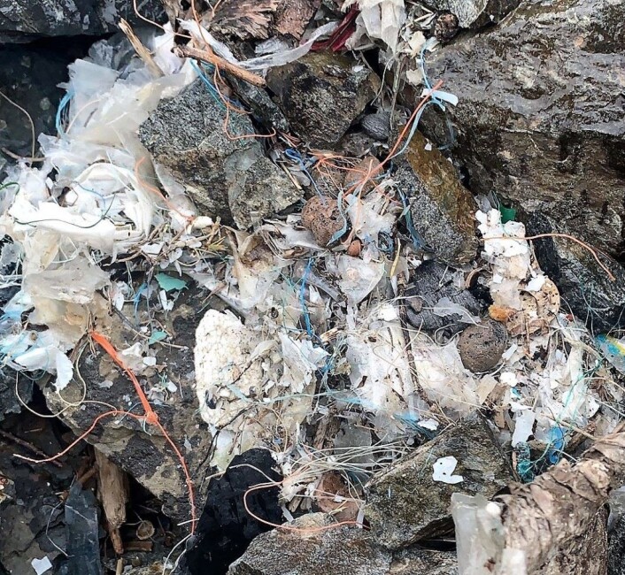 Selv på idylliske Gressholmen ligger det plast i store dynger. Det er mye å ta tak i for de som skal rydde opp etter oss. Foto: Anja Stokkan Selv på idylliske Gressholmen ligger det plast i store dynger. Det er mye å ta tak i for de som skal rydde opp etter oss. Foto: Anja Stokkan