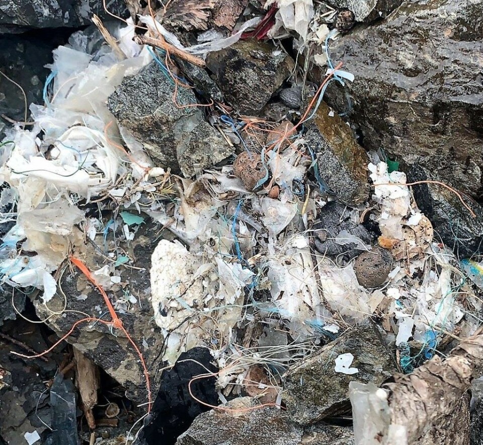 Selv på idylliske Gressholmen ligger det plast i store dynger. Det er mye å ta tak i for de som skal rydde opp etter oss. Foto: Anja Stokkan