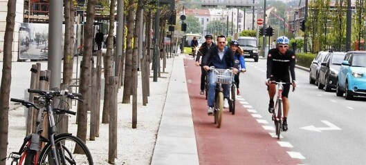 – La ikke satsingen på sykkelveier ødelegge for trærne i byen vår