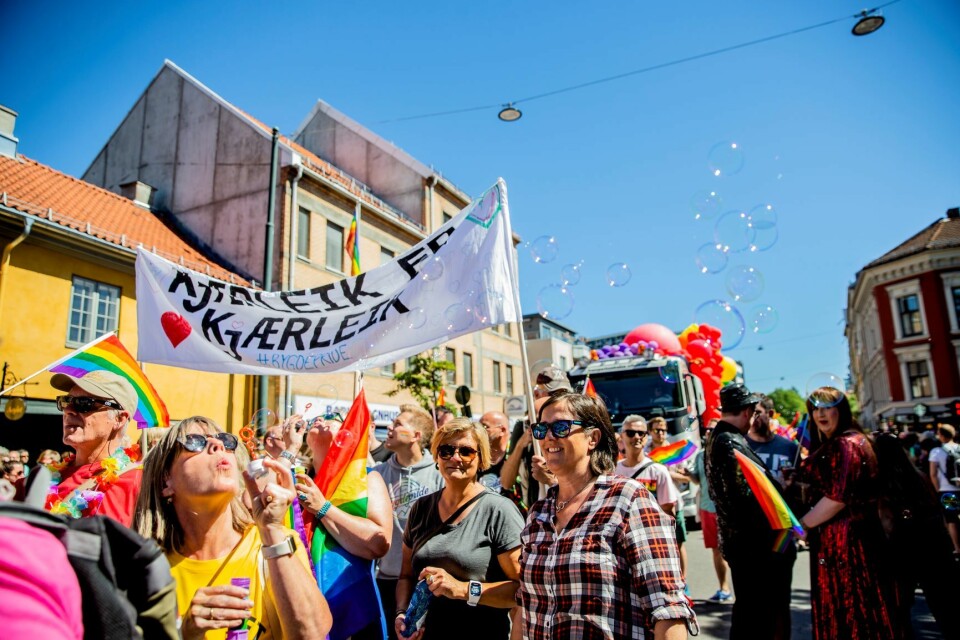 Oslo bør bli verdens homohovedstad, mener de to bydelspolitikerne. Her fra Oslo Pride Parade i fjor. Foto: Stian Lysberg Solum / NTB scanpix