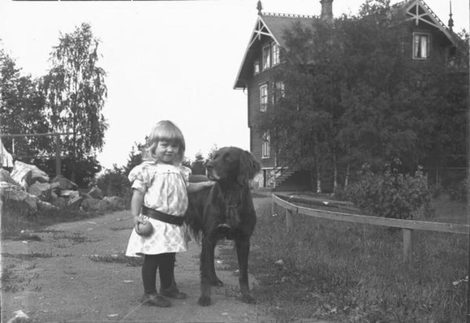 Hunden ble et kjæledyr for i flere borgerlige familier på 800-tallet. Her er en jente med hunden sin i 1904. Ukjent fotograf / Oslo Museum