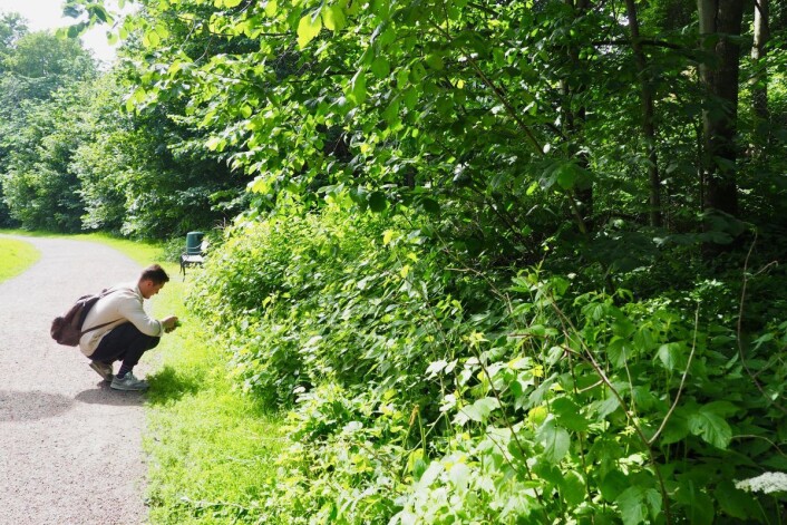 Til og med langs stien til Frognerparken kan du finne smakfulle salaterstatninger og annet snacks. Foto: Emilie Pascale Til og med langs stien til Frognerparken kan du finne smakfulle salaterstatninger og annet snacks. Foto: Emilie Pascale