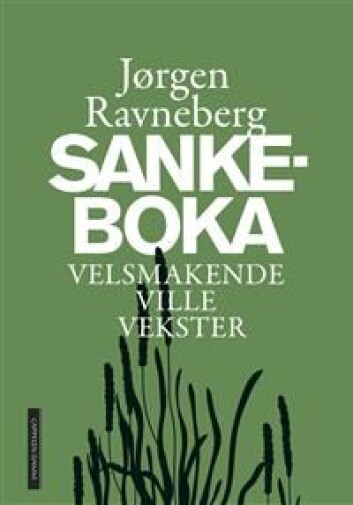 Jørgen Ravnebergs bok. Illustrasjon: Cappelen Damm Jørgen Ravnebergs bok. Illustrasjon: Cappelen Damm