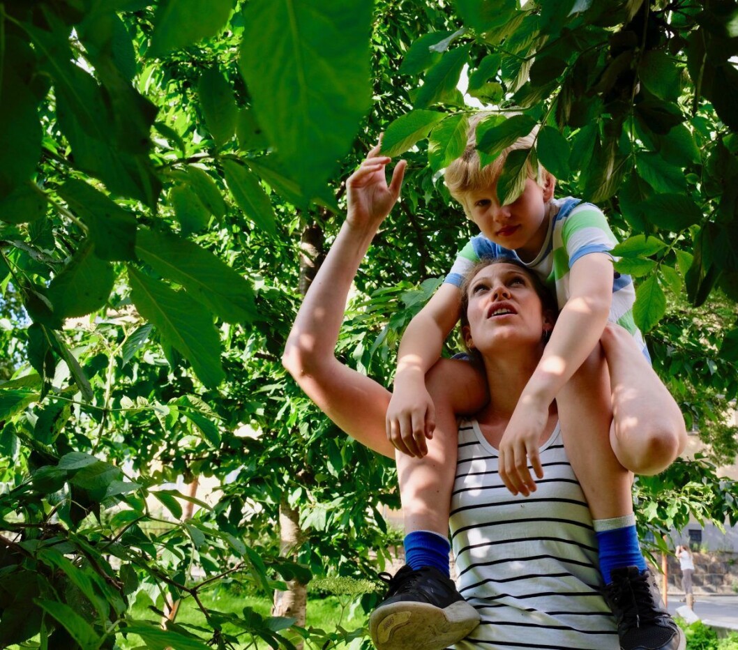 For å få tak i godene, må både små og store være med. Nikolai Huby Vold (8) på skuldrene mamma Sara Huby, gleder seg til å smake på resultatet. Foto: Emilie Pascale For å få tak i godene, må både små og store være med. Nikolai Huby Vold (8) på skuldrene mamma Sara Huby, gleder seg til å smake på resultatet. Foto: Emilie Pascale
