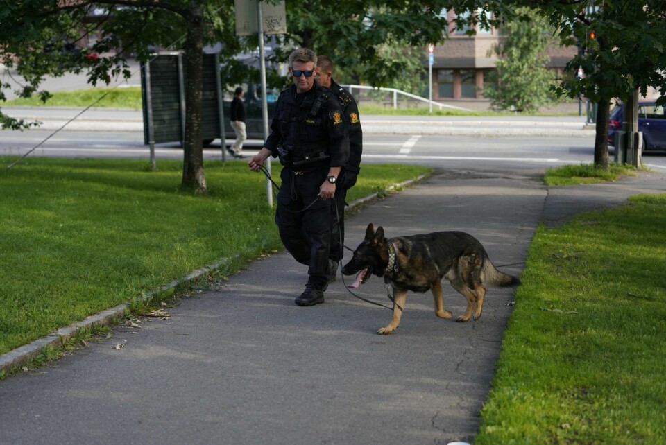 Politi med hund søker i området nær der en mann ble knivstukket under en fotballkamp på Tøyen lørdag ettermiddag. Foto: Fredrik Hagen / NTB scanpix