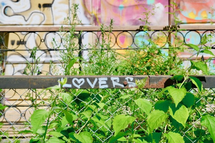 Den gamle presteboligen har stått nedtagget og ubrukt i snart ti år nå. Foto: Emilie Pascale Den gamle presteboligen har stått nedtagget og ubrukt i snart ti år nå. Foto: Emilie Pascale