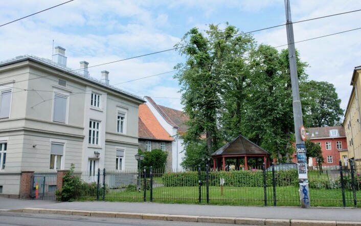 Dersom planene forblir slik de er idag, vil blant annet dette grøntarealet erstattes av et nybygg. Foto: Emilie Pascale Dersom planene forblir slik de er idag, vil blant annet dette grøntarealet erstattes av et nybygg. Foto: Emilie Pascale