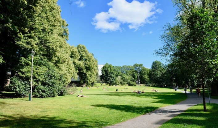 Starten på Prideparaden ved Oslo Fengsel er et sted mange skeive assosierer med positive følelser og skeiv feiring. Foto: Emilie Pascale Starten på Prideparaden ved Oslo Fengsel er et sted mange skeive assosierer med positive følelser og skeiv feiring. Foto: Emilie Pascale