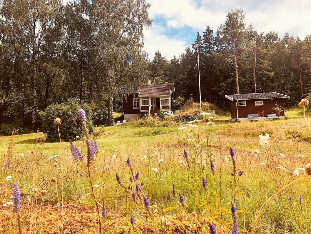 Hytta på Lindøya som skal legges ut til salgs i august med prisantydning 15 millioner kroner. I tillegg et uthus som følger med. Foto: Natalia Tesli Hytta på Lindøya som skal legges ut til salgs i august med prisantydning 15 millioner kroner. I tillegg et uthus som følger med. Foto: Natalia Tesli