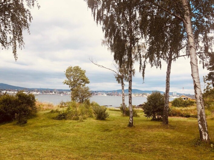 Utsikt mot fjorden og Oslo by fra hagen til hytta på Lindøya. Foto: Natalia Tesli Utsikt mot fjorden og Oslo by fra hagen til hytta på Lindøya. Foto: Natalia Tesli