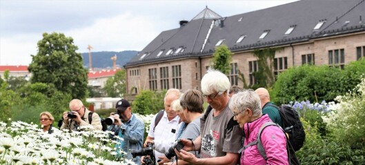 Oslo Kamera Klubb er en av byens sprekeste 98-åringer