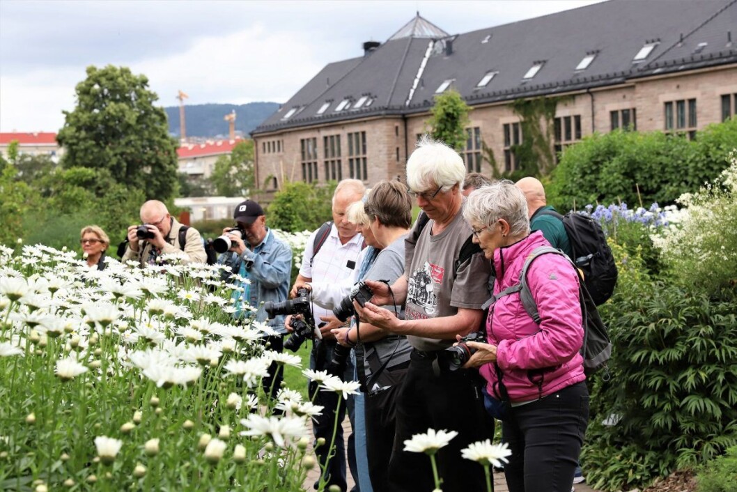 Diskusjoner og vurderinger av resultatene tar man fortløpende. Foto: André Kjernsli Diskusjoner og vurderinger av resultatene tar man fortløpende. Foto: André Kjernsli