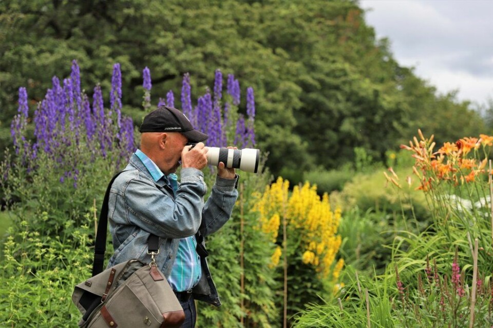 OKK-medlem Geir Arnesen i Botanisk hages blomsterhav. Foto: André Kjernsli