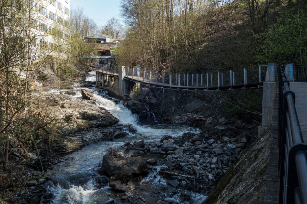 Deler av Svartdalsparken kan bli spist opp for å få kabalen til å gå opp med ny skinnegang i Kværnerdalen. Foto: Geir Halvorsen / Flickr Deler av Svartdalsparken kan bli spist opp for å få kabalen til å gå opp med ny skinnegang i Kværnerdalen. Foto: Geir Halvorsen / Flickr