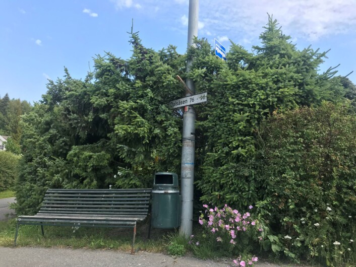 Dalsåsen går gjennom Dal i Søndre Nordstrand. Mange eldre mennesker bor i området. Foto: Naimo Kahiye Dalsåsen går gjennom Dal i Søndre Nordstrand. Mange eldre mennesker bor i området. Foto: Naimo Kahiye