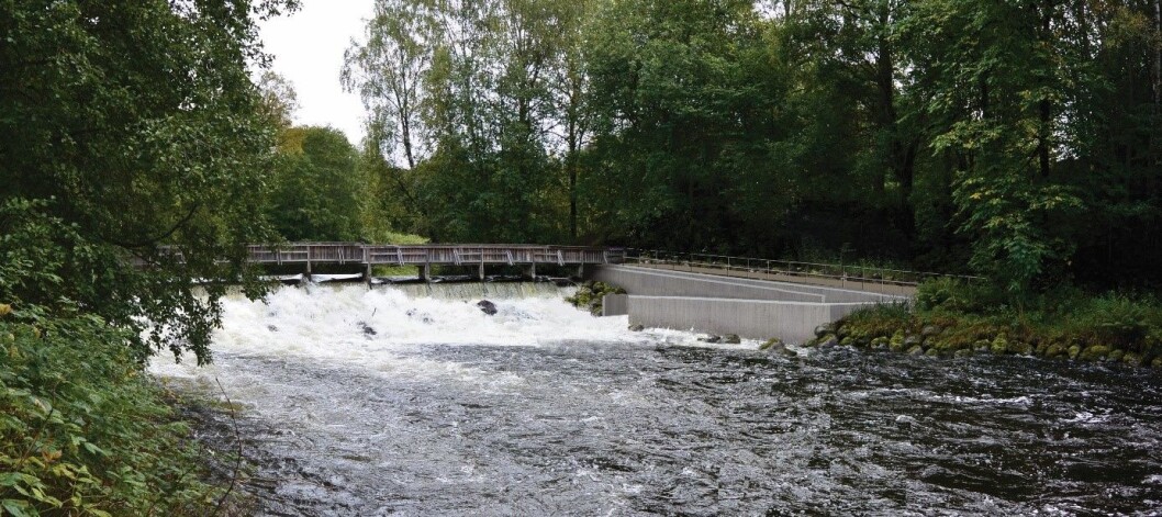 Her ved Grønvoldterskelen i Akerselva begynner fisketrappa å ta form. Planen er at den står ferdig før ørreten gyter i høst. Foto: Bymiljøetaten / Oslo kommune Her ved Grønvoldterskelen i Akerselva begynner fisketrappa å ta form. Planen er at den står ferdig før ørreten gyter i høst. Foto: Bymiljøetaten / Oslo kommune