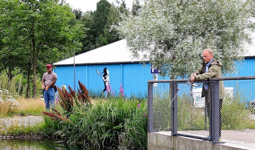 Dypt konsentrert svinger friluftsentusiasten Raymond Johansen fiskestanga midt i Oslo. Til venstre fiskeekspert Lars Lenth. Foto: André Kjernsli Dypt konsentrert svinger friluftsentusiasten Raymond Johansen fiskestanga midt i Oslo. Til venstre fiskeekspert Lars Lenth. Foto: André Kjernsli