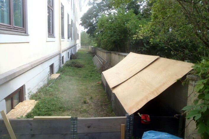 Her er alt lagt til rette for en trygg pinnsvin-oppvekst på Ila. Kvist, løv, fri tilgang på insekter og tak over hodet om det kommer regn. Legg merke til at sjaktene foran vinduene er tettet med trelemmer. Foto: Anders Høilund Her er alt lagt til rette for en trygg pinnsvin-oppvekst på Ila. Kvist, løv, fri tilgang på insekter og tak over hodet om det kommer regn. Legg merke til at sjaktene foran vinduene er tettet med trelemmer. Foto: Anders Høilund