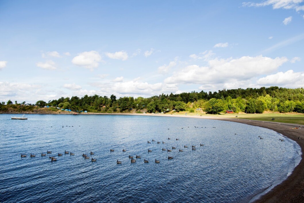 Langøyene i Oslofjorden er populære. Nå skal alt avfallet som er begravet der bort. Foto: Vegard Wivestad Grøtt / NTB scanpix Langøyene i Oslofjorden er populære. Nå skal alt avfallet som er begravet der bort. Foto: Vegard Wivestad Grøtt / NTB scanpix
