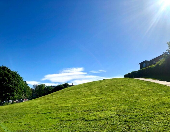 Den grønne haugen på Adamstuen, på folkemunne kalt "Idioten", har ikke noe offentlig registert navn hos Oslo kommune. Foto: Christine Thune Den grønne haugen på Adamstuen, på folkemunne kalt "Idioten", har ikke noe offentlig registert navn hos Oslo kommune. Foto: Christine Thune