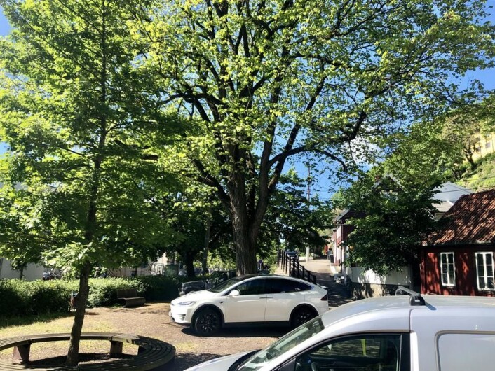 Lenger ned i Damstredet ligger området som ofte blir kalt for "Trekantplassen". Her etterspør Oslo kommune nye navneforslag. Foto: Christine Thune Lenger ned i Damstredet ligger området som ofte blir kalt for "Trekantplassen". Her etterspør Oslo kommune nye navneforslag. Foto: Christine Thune