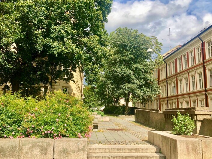 Bakenfor bygårdsbebyggelsen ligger en liten benkeplass som savner et verdig navn. Foto: Christine Thune Bakenfor bygårdsbebyggelsen ligger en liten benkeplass som savner et verdig navn. Foto: Christine Thune