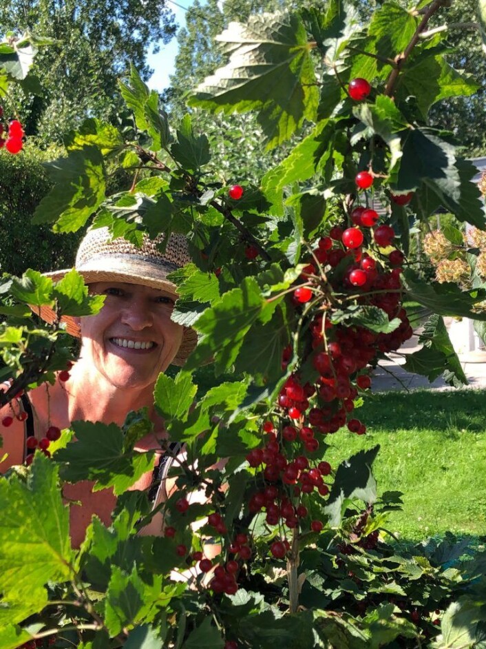 Bente Mogård er nestleder i styret til Sogn hagekoloni. Foto: Amalie Sofie Aune Bjerkem Bente Mogård er nestleder i styret til Sogn hagekoloni. Foto: Amalie Sofie Aune Bjerkem