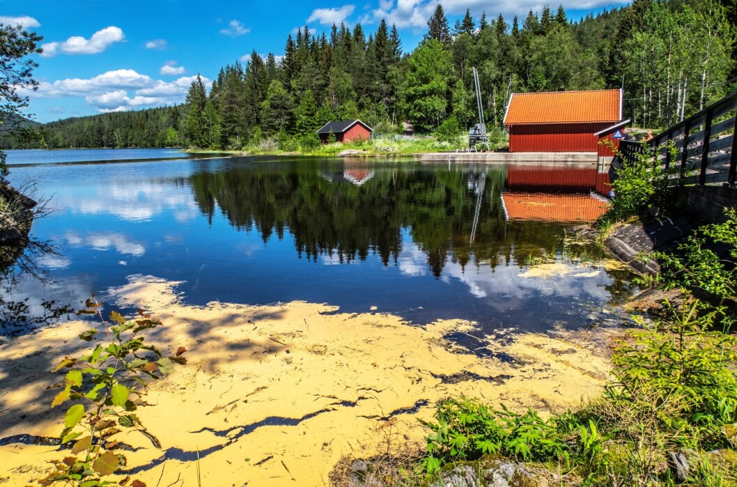 Skjærsjødammen i Nordmarka i Oslo. Drikkevannskilde. Foto: Halvard Alvik / NTB scanpix Skjærsjødammen i Nordmarka i Oslo. Drikkevannskilde. Foto: Halvard Alvik / NTB scanpix