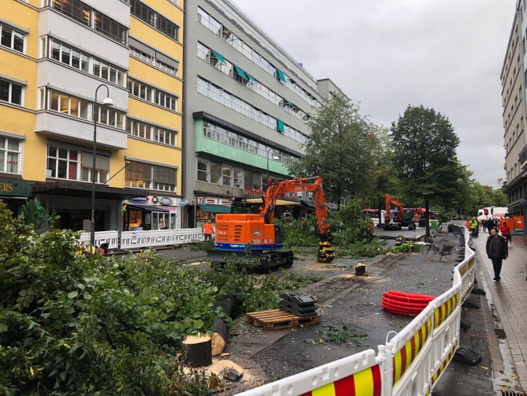 Arbeidet med å felle trærne i Olav Vs gate er i full gang. Mange stopper opp og rister på hodet. Foto: VårtOslo Arbeidet med å felle trærne i Olav Vs gate er i full gang. Mange stopper opp og rister på hodet. Foto: VårtOslo