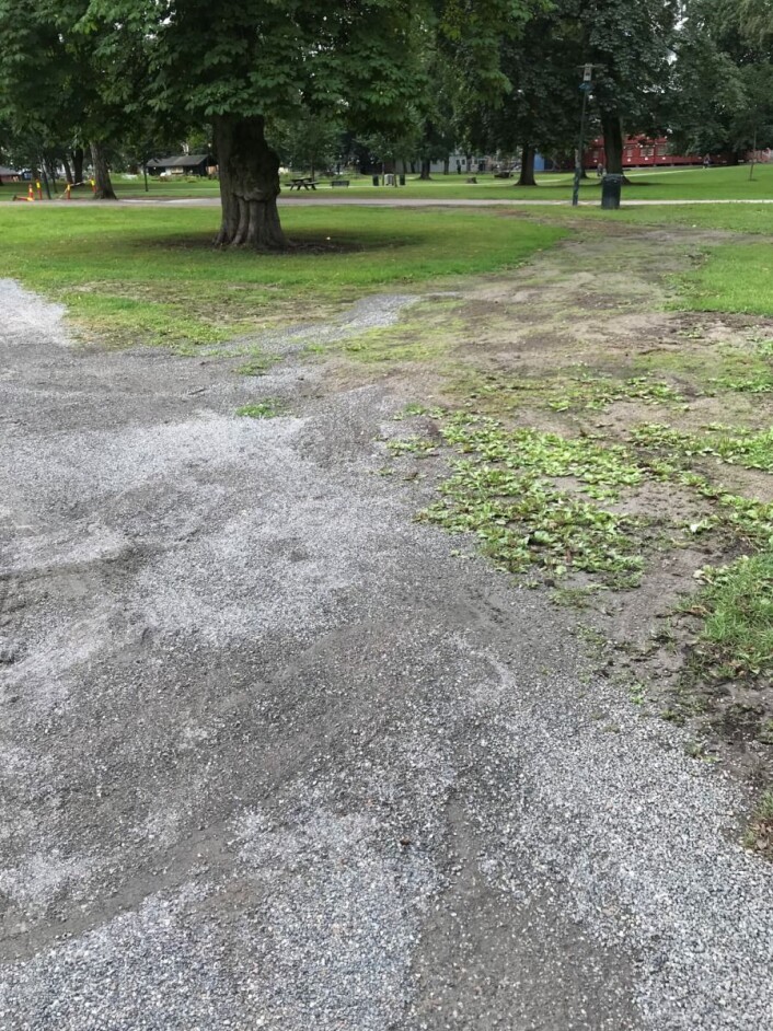 Flere steder var Sofienbergparken slitt og ødelagt i lang tid etter Piknik i parken. Foto: Jane Vogt Evensen / Grünerløkka SV Flere steder var Sofienbergparken slitt og ødelagt i lang tid etter Piknik i parken. Foto: Jane Vogt Evensen / Grünerløkka SV