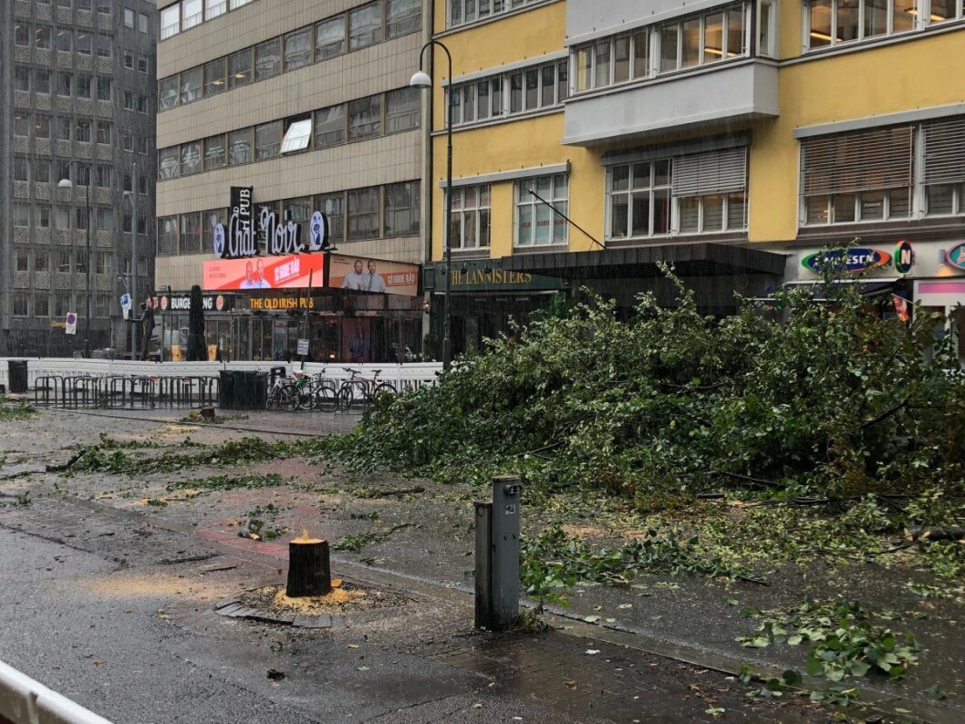 Det er på høy tid at øvre del av Olav Vs gate blir gågate og at fotgjengerne får bedre plass i hele gata, sier Lan Marie Nguyen Berg. Foto: VårtOslo Det er på høy tid at øvre del av Olav Vs gate blir gågate og at fotgjengerne får bedre plass i hele gata, sier Lan Marie Nguyen Berg. Foto: VårtOslo