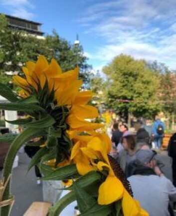 bordet var pyntet med oppsatser laget av ungdom fra blomsterdekoratørlinja på Edvard Munch VGS. Foto: Stina Lindholm bordet var pyntet med oppsatser laget av ungdom fra blomsterdekoratørlinja på Edvard Munch VGS. Foto: Stina Lindholm