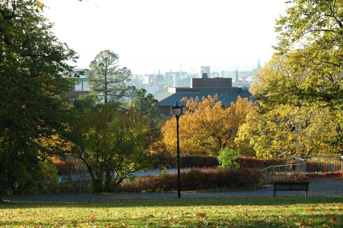 Utsikt fra Kampenparken. Foto: Bymiljøetaten Utsikt fra Kampenparken. Foto: Bymiljøetaten