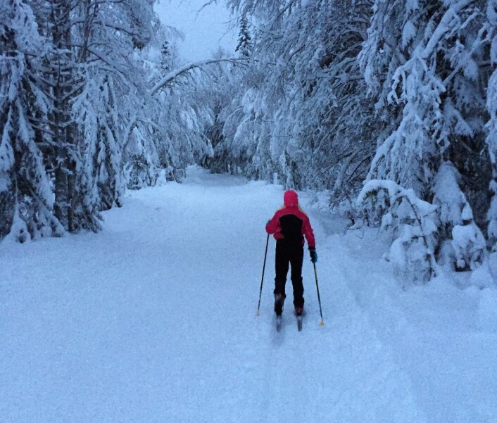 Kong Vinter er her. Når vi ikke er på skitur er dette gjerne tiden når vi tilbringer mesteparten av tilværelsen innendørs, som gjerne resulterer i økt energibruk til oppvarming, belysning og hjemmekos. Foto: Eidsiva Energi Kong Vinter er her. Når vi ikke er på skitur er dette gjerne tiden når vi tilbringer mesteparten av tilværelsen innendørs, som gjerne resulterer i økt energibruk til oppvarming, belysning og hjemmekos. Foto: Eidsiva Energi