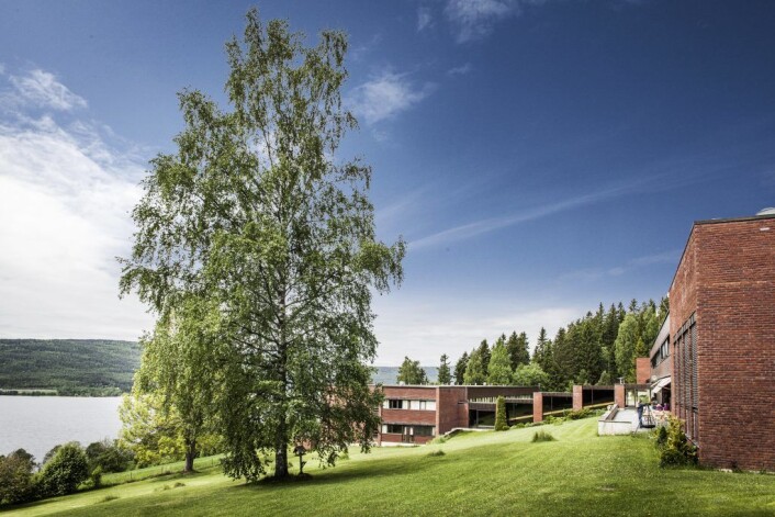 Det er ingenting å utsette på omgivelsene hos Vangseter om sommeren heller! Det er ingenting å utsette på omgivelsene hos Vangseter om sommeren heller!