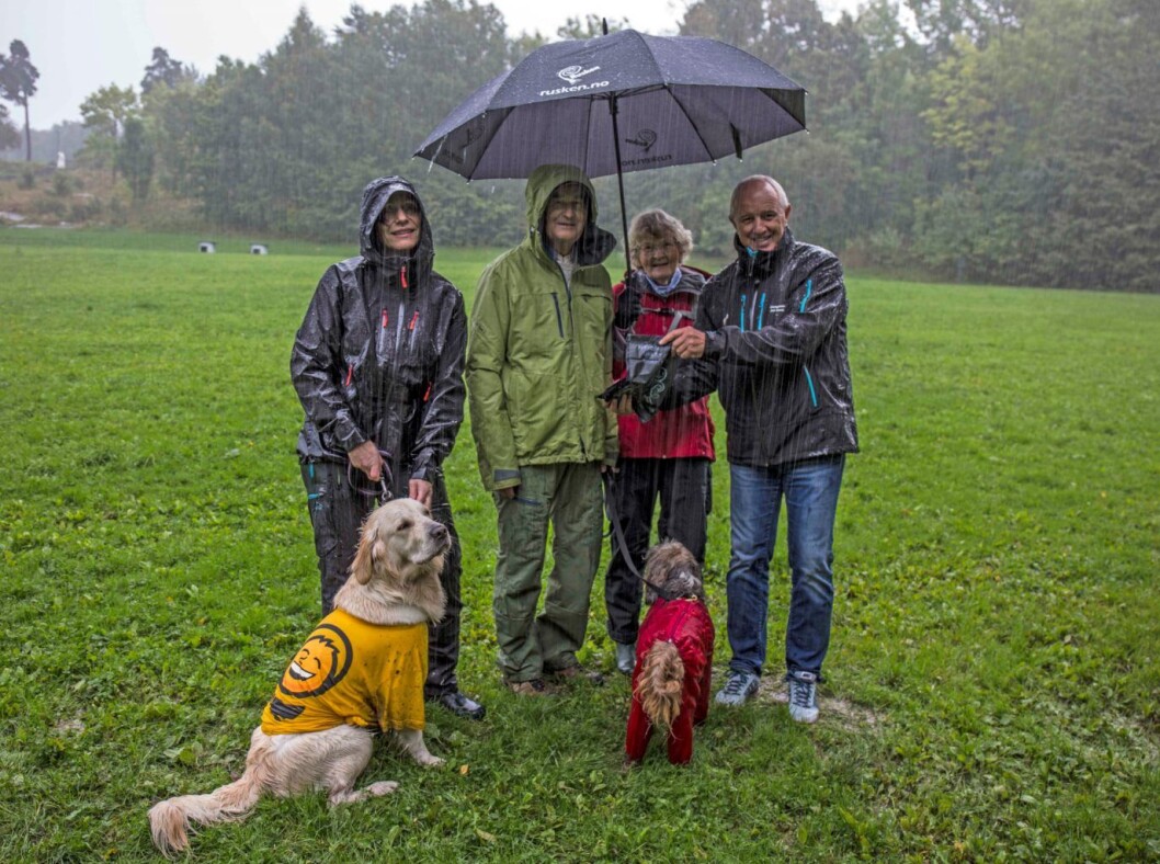 Lite kan slå å gå tur med hunden i deilig norsk sommervær. Her fra hundrerusken på Ekeberg. Lite kan slå å gå tur med hunden i deilig norsk sommervær. Her fra hundrerusken på Ekeberg.