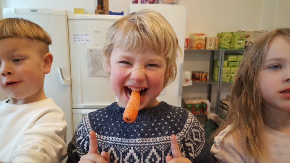 Sofie (5, midten) ser ingen grunn til at matlagingen skal være kjedelig i Heftyes barnehage i Bydel St. Hanshaugen. Til venstre Claus (4) og til høyre Nova (4). Foto: Tarjei Kidd Olsen Sofie (5, midten) ser ingen grunn til at matlagingen skal være kjedelig i Heftyes barnehage i Bydel St. Hanshaugen. Til venstre Claus (4) og til høyre Nova (4). Foto: Tarjei Kidd Olsen
