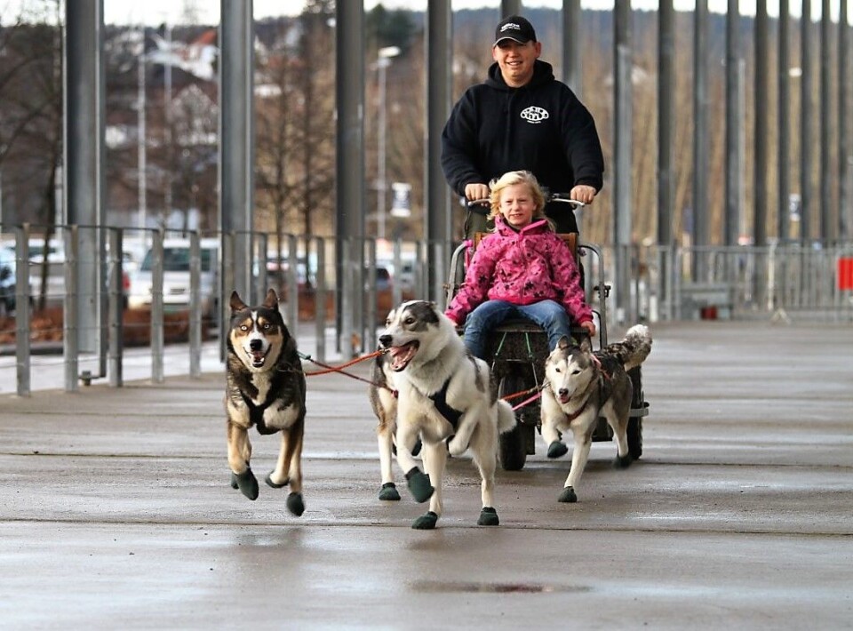 I tillegg til oppvisninger, show og opplevelser med hund, kan du møte opp mot 10 000 firbeinte og over 300 hunderaser på Dogs4All.