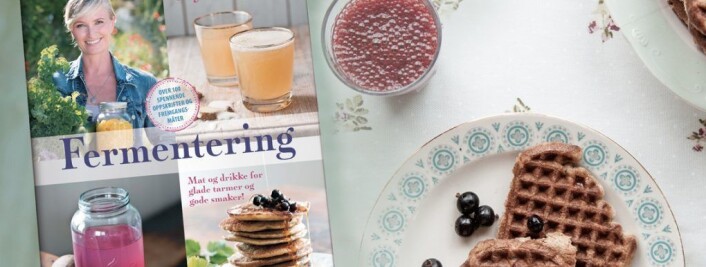 Gry Hammer er guruen på fermentering og kraftkoking i Norge. Gry Hammer er guruen på fermentering og kraftkoking i Norge.