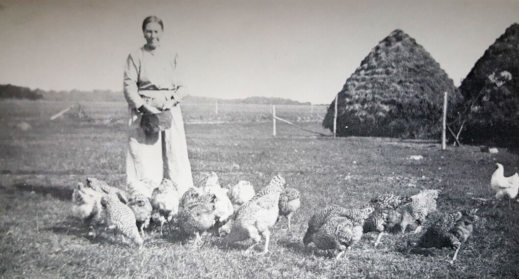 Ti år brukte Gjertrud Larsdotter på å bestemme seg for om hun skulle flytte fra Rindal til Amerika for å bli forent med hennes felles rindaling Even Johnsen, som sendte henne lengtende kjærlighetsbrev. Her er hun fotografert på farmen i Wisconsin. Ti år brukte Gjertrud Larsdotter på å bestemme seg for om hun skulle flytte fra Rindal til Amerika for å bli forent med hennes felles rindaling Even Johnsen, som sendte henne lengtende kjærlighetsbrev. Her er hun fotografert på farmen i Wisconsin.