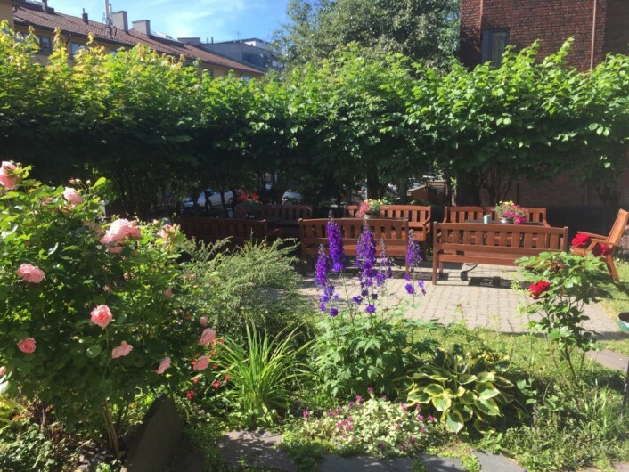 Her blomstrer blomstene ved Tidemandstuen frivilligsentral, rett ved Vestkantorget. Et av tiltakene du kan søke om støtte til er nettopp å plante blomster og andre planter rundt om i bydelen. Foto: Privat Her blomstrer blomstene ved Tidemandstuen frivilligsentral, rett ved Vestkantorget. Et av tiltakene du kan søke om støtte til er nettopp å plante blomster og andre planter rundt om i bydelen. Foto: Privat
