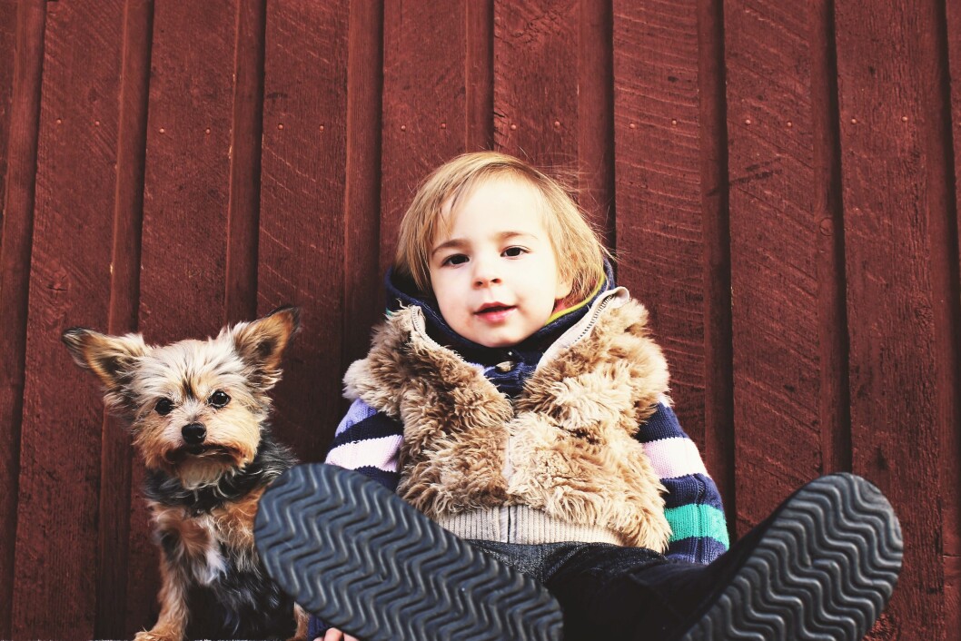 I et nederlandsk forskningsprosjekt har autistiske barn vist seg å få godt utbytte av å ha en hund. Foto: Levi Saunders