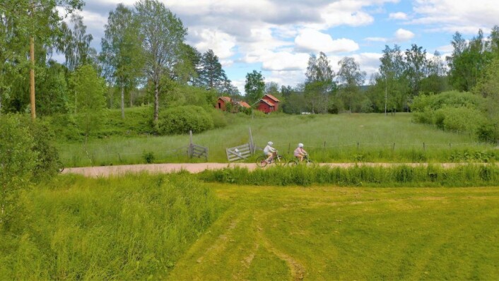 Sykkeltur forbi Sørli i Østmarka. Foto: Bymiljøetaten Sykkeltur forbi Sørli i Østmarka. Foto: Bymiljøetaten