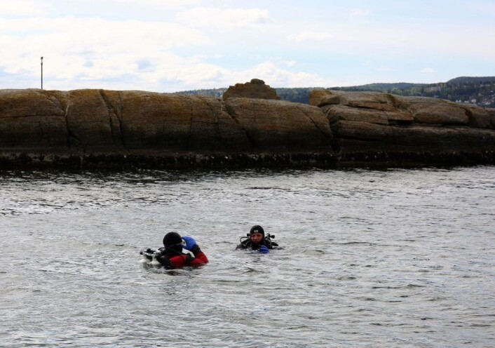 Dykkere fra Drøbak Undervannsklubb ryddet strandområdet under vann. Foto: Rusken Dykkere fra Drøbak Undervannsklubb ryddet strandområdet under vann. Foto: Rusken