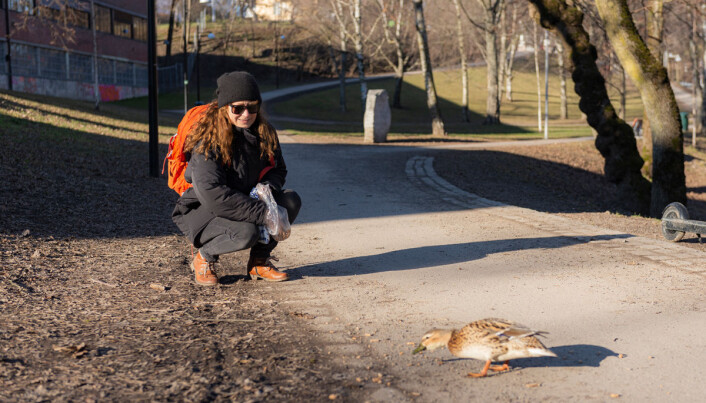 Sissel Visted forstår de som hamstrer varer i frykt. Sissel Visted forstår de som hamstrer varer i frykt.
